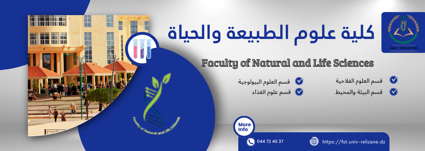 جامعة غليزان